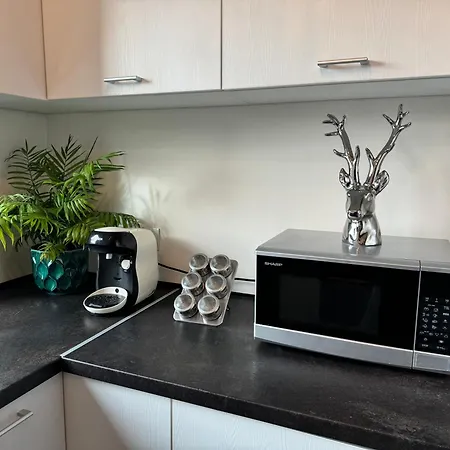 Apartment Lux